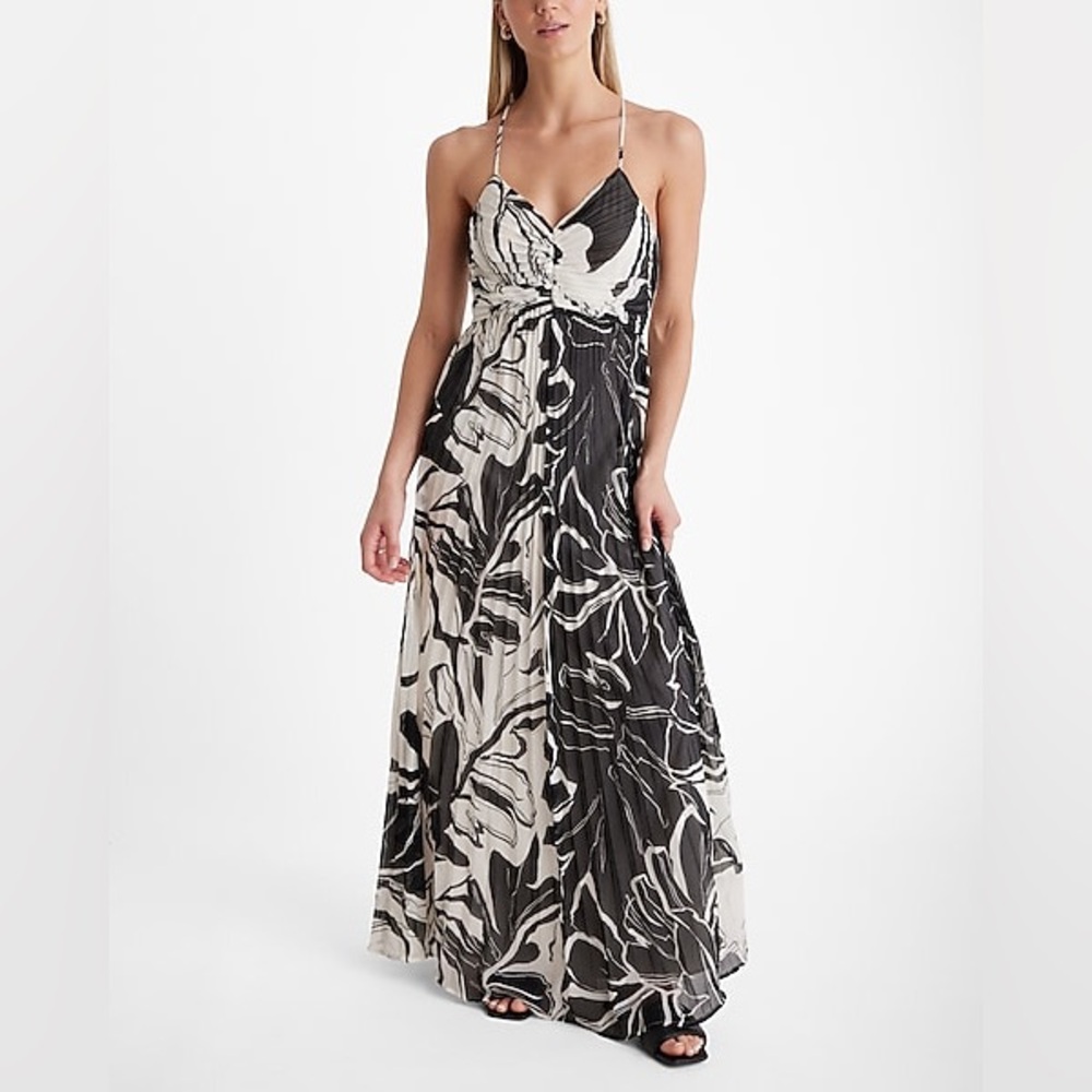 Express Printed V-Neck Pleated Cross Back Maxi Dress